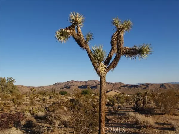 Joshua Tree, CA 92252,7275 Saddleback Road