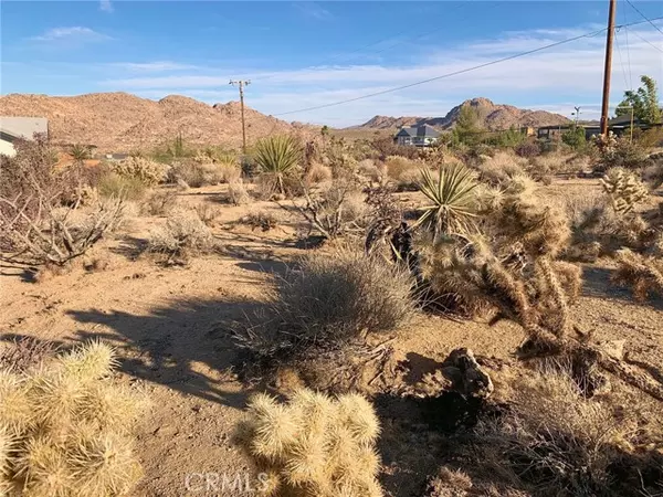 Joshua Tree, CA 92252,60000 Pueblo Trail