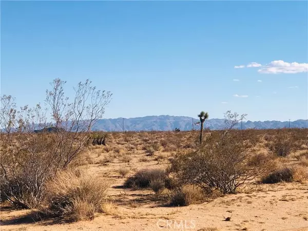 Joshua Tree, CA 92252,0 Neptune Drive