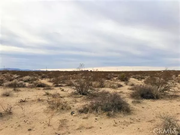 Joshua Tree, CA 92252,0 Mercury Avenue