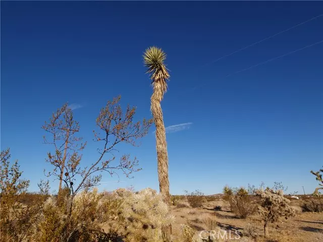 2 Appian Way, Joshua Tree, CA 92252