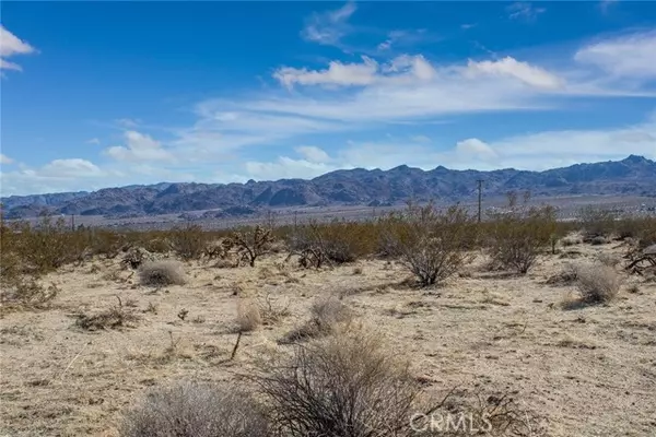 Joshua Tree, CA 92252,4444 Gold Nugget