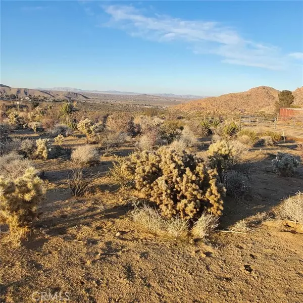 46 Quail Springs Road, Joshua Tree, CA 92252