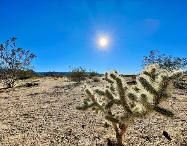 1 Gold Nugget, Joshua Tree, CA 92252