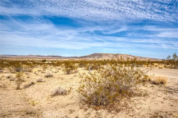 Joshua Tree, CA 92252,0 Copper Mountain Rd Road