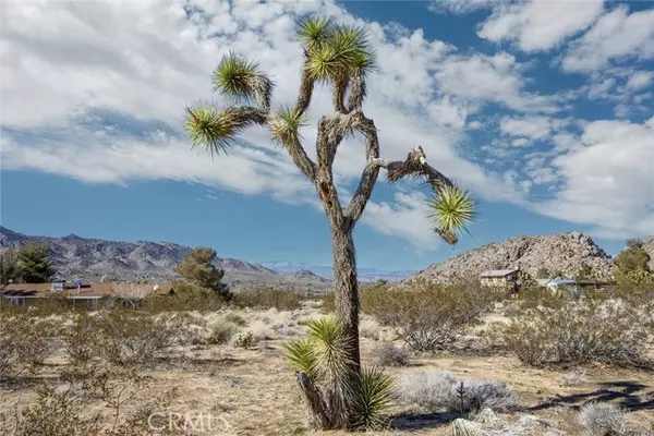 Joshua Tree, CA 92252,8776 Uphill Road