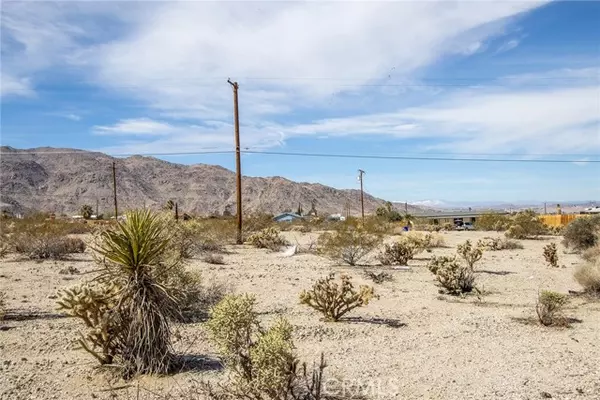 29 Palms, CA 92277,7600 Bedouin Avenue