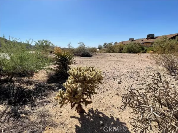 29 Palms, CA 92277,2 Foothill