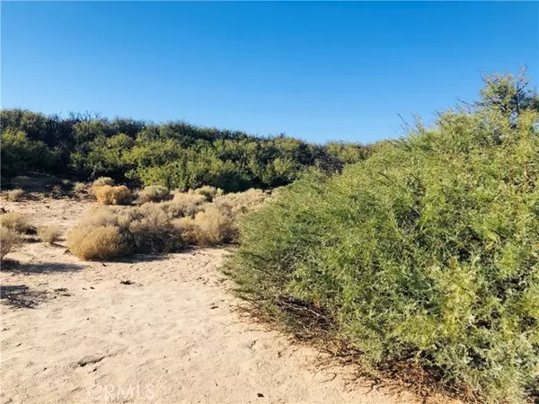 29 Palms, CA 92277,0 East Of Mesquite Spr Road