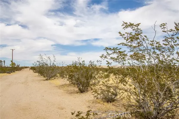 Joshua Tree, CA 92252,4225 Benji Avenue