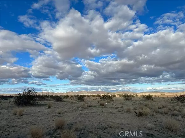 Joshua Tree, CA 92252,1000 Sunbeam Avenue