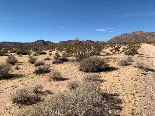 Joshua Tree, CA 92252,62259 Dixie Lane