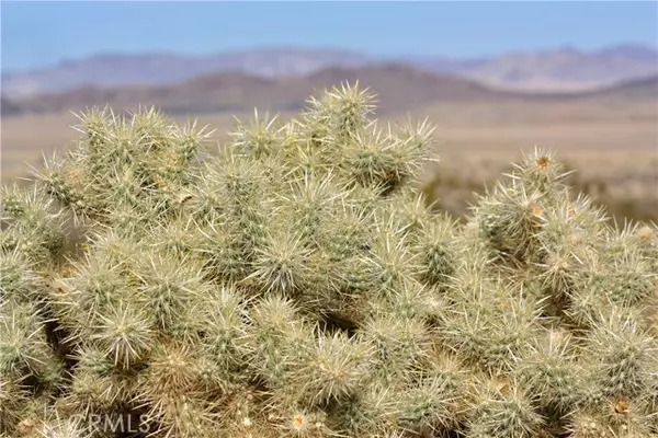 Joshua Tree, CA 92252,64647 Foothill Drive