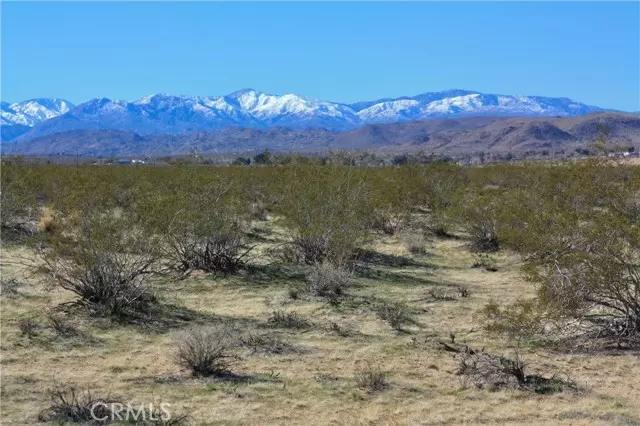 Joshua Tree, CA 92252,0 29 Palms Hwy