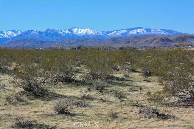 Joshua Tree, CA 92252,0 29 Palms Hwy