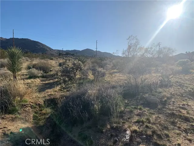 60300 Alta Mesa Drive, Joshua Tree, CA 92252