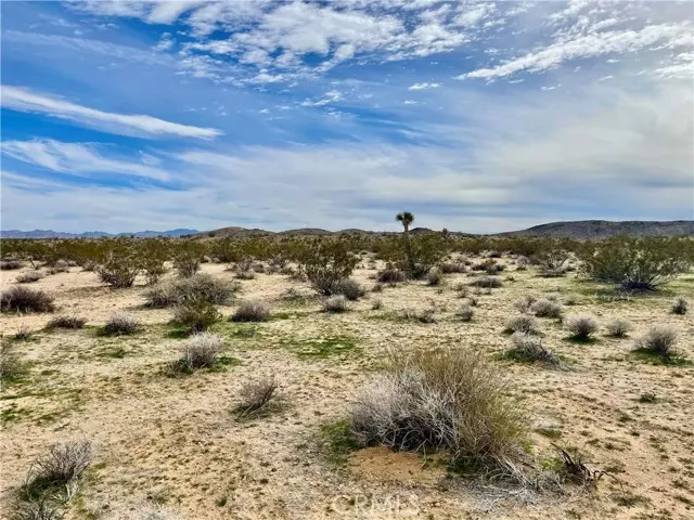 0 Willies Way, Joshua Tree, CA 92285