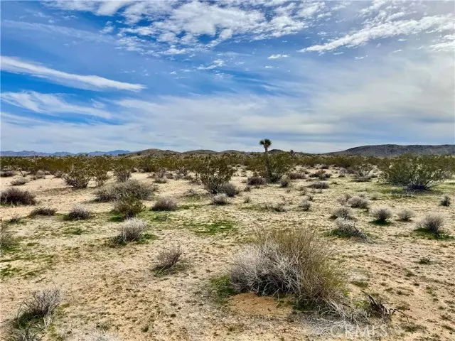 Joshua Tree, CA 92285,0 Willies Way