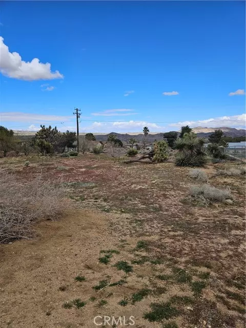 Joshua Tree, CA 92252,60374 La Mirada Trail