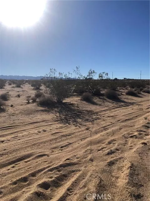 29 Palms, CA 92277,71440 Palmyra