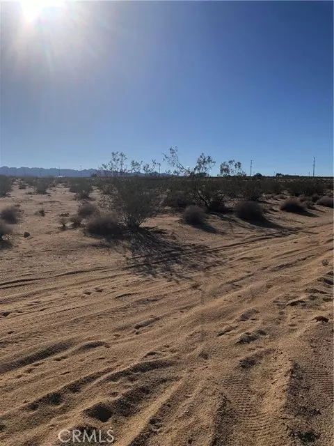 29 Palms, CA 92277,71440 Palmyra