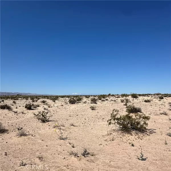 29 Palms, CA 92277,1234 Taco Drive