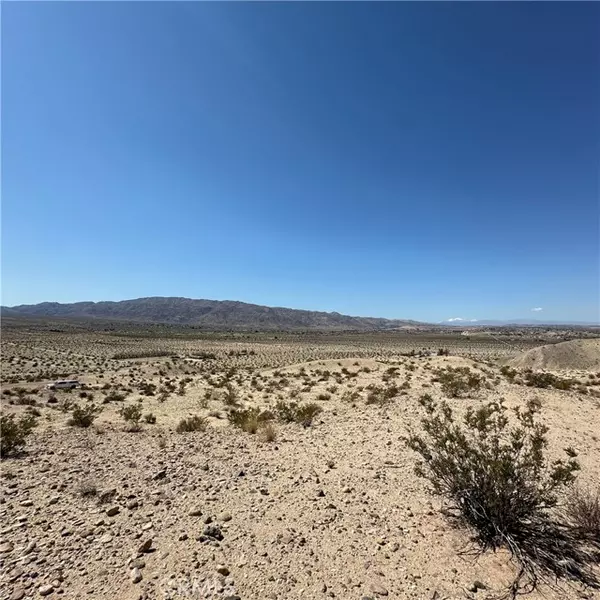 29 Palms, CA 92277,1234 Buena Vista Drive