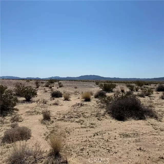 29 Palms, CA 92277,1234 Amboy Road