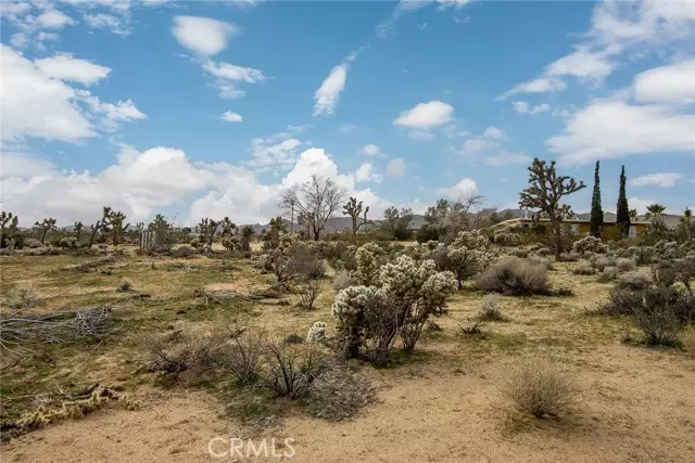 61329 Rocky Vista Street, Joshua Tree, CA 92252