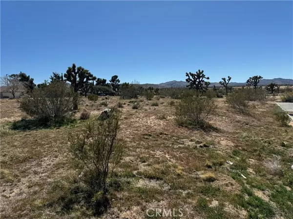 Yucca Valley, CA 92284,0 Balsa Avenue