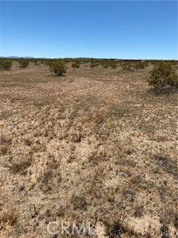 Landers, CA 92285,900 Fetlock Road