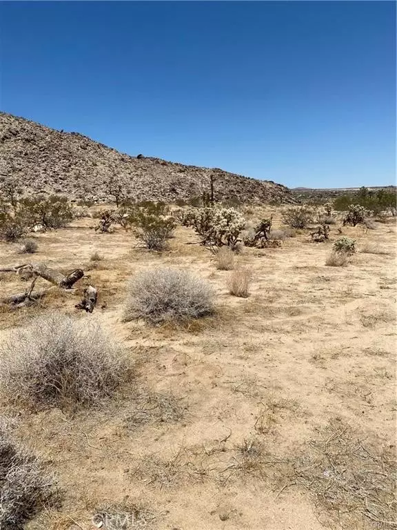 Joshua Tree, CA 92252,5814 Sunburst