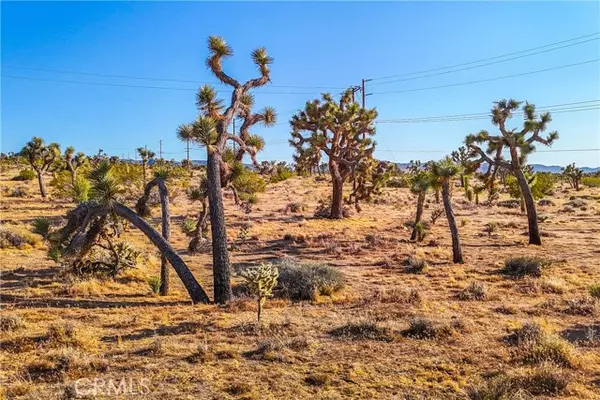 Joshua Tree, CA 92252,7645 La Contenta Road