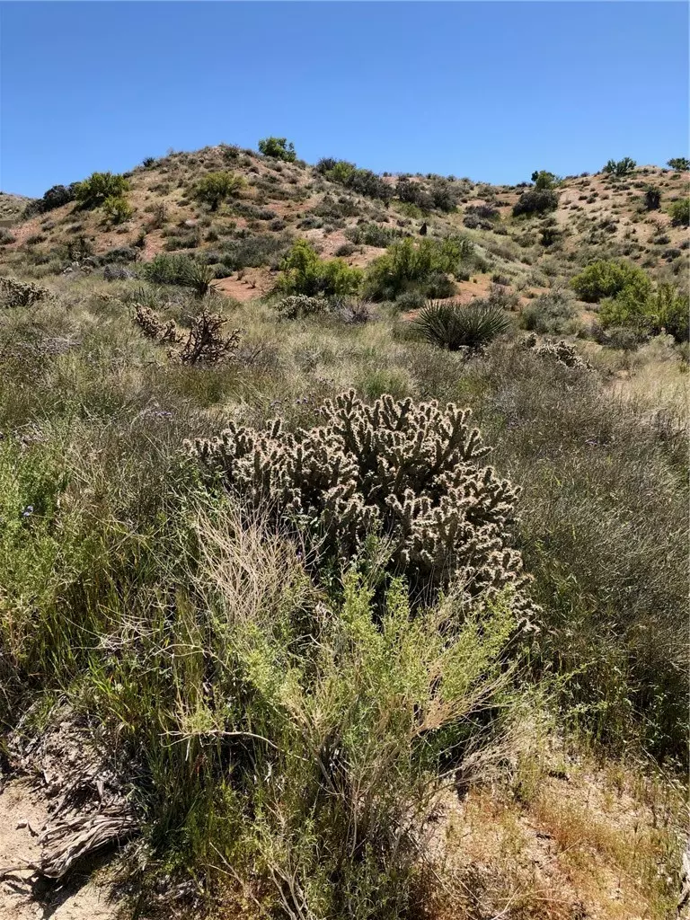 Morongo Valley, CA 92256,25 ACRES APN# 0582081110000 / 058