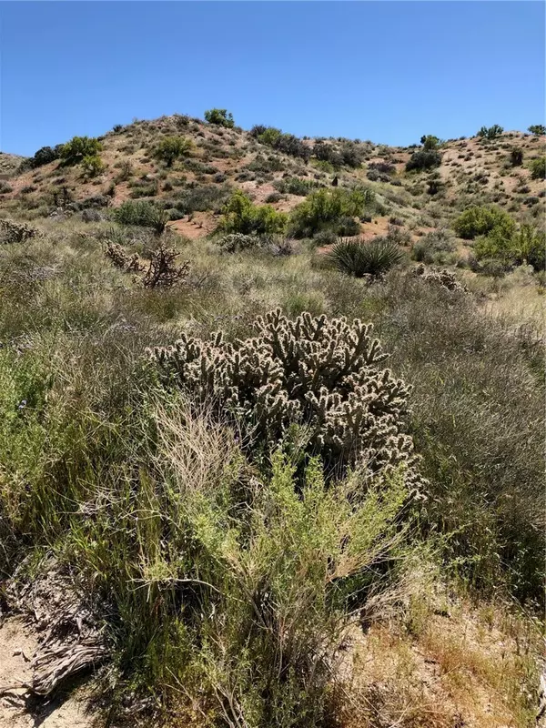 25 ACRES APN# 0582081110000 / 058, Morongo Valley, CA 92256