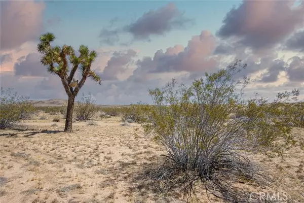 Joshua Tree, CA 92252,4444 Saddleback Drive