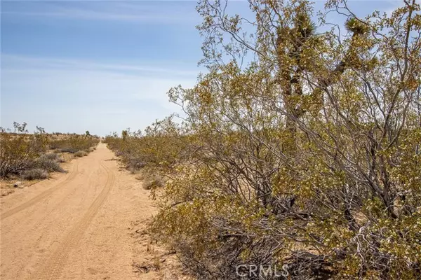 Joshua Tree, CA 92252,4444 Saddleback Drive