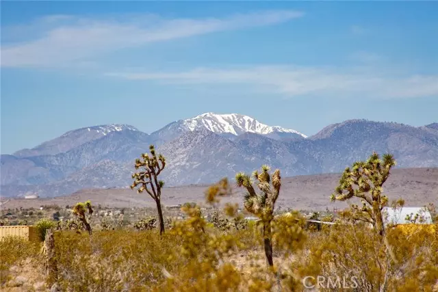 Joshua Tree, CA 92252,4444 Saddleback Drive