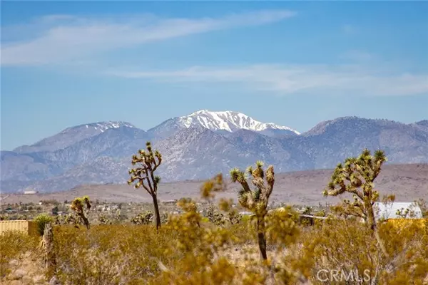 4444 Saddleback Drive, Joshua Tree, CA 92252