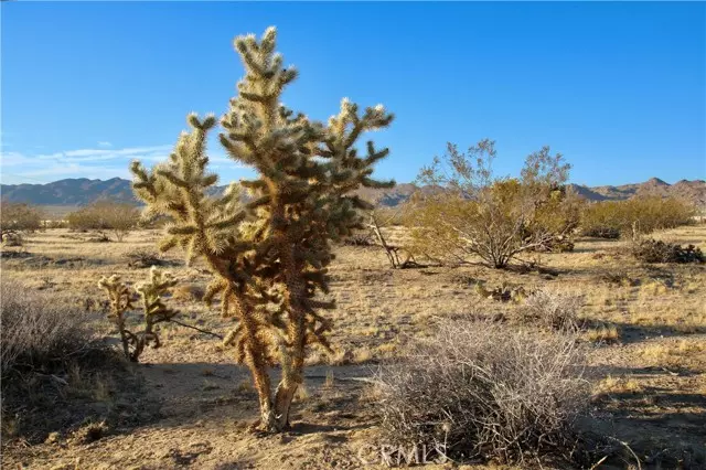 0 Cobalt Road, Joshua Tree, CA 92252