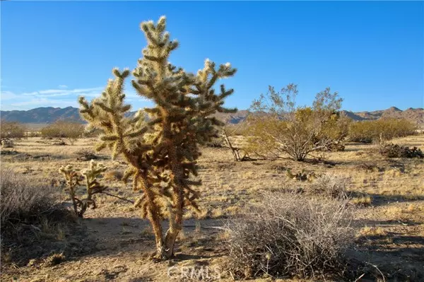 Joshua Tree, CA 92252,0 Cobalt Road