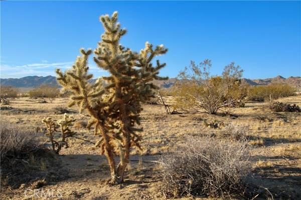 0 Cobalt Road, Joshua Tree, CA 92252