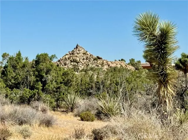 Yucca Valley, CA 92284,0 Cobalt Road