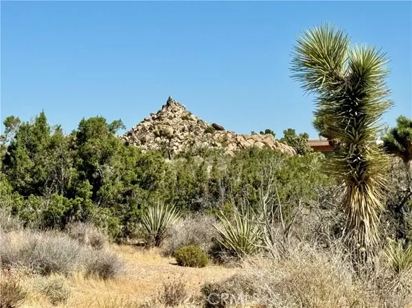 0 Cobalt Road, Yucca Valley, CA 92284