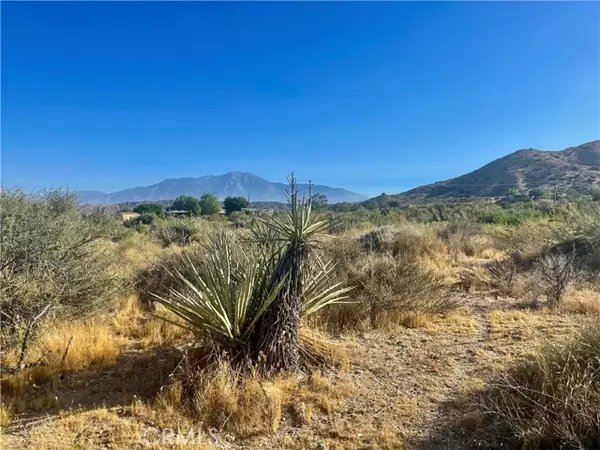 Morongo Valley, CA 92256,49200 Old Mill Road