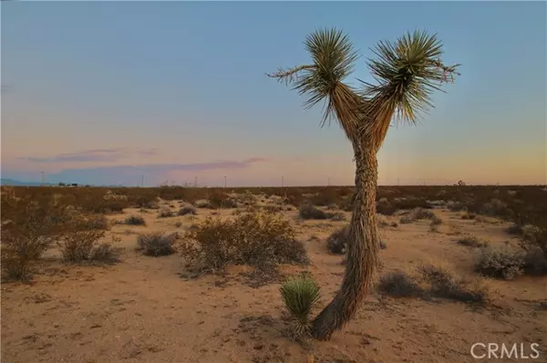 Joshua Tree, CA 92252,0 Milky Way Avenue