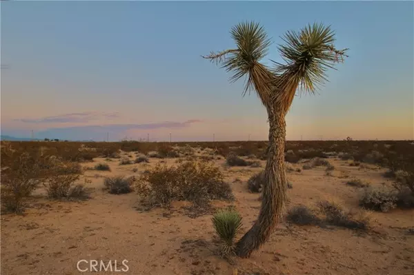 Joshua Tree, CA 92252,0 Milky Way Avenue
