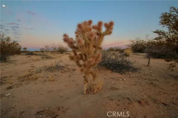 Joshua Tree, CA 92252,0 Milky Way Avenue