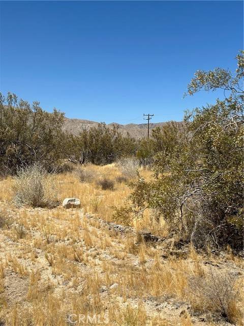 0 Green Trl., Morongo Valley, CA 92256