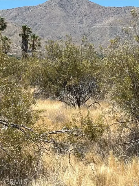 Morongo Valley, CA 92256,0 Green Trl.